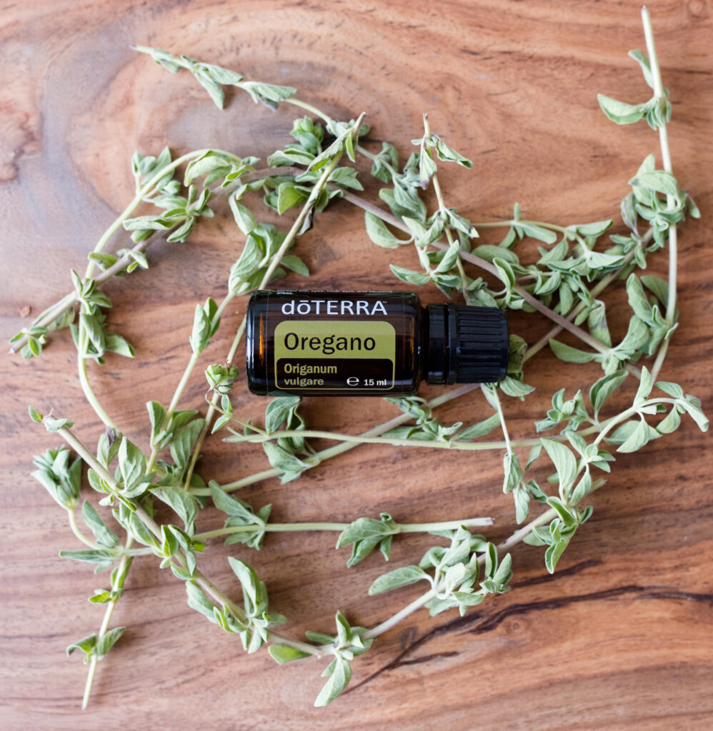 Olejek z oregano dōTERRA w otoczeniu świeżych ziół – naturalna aromaterapia