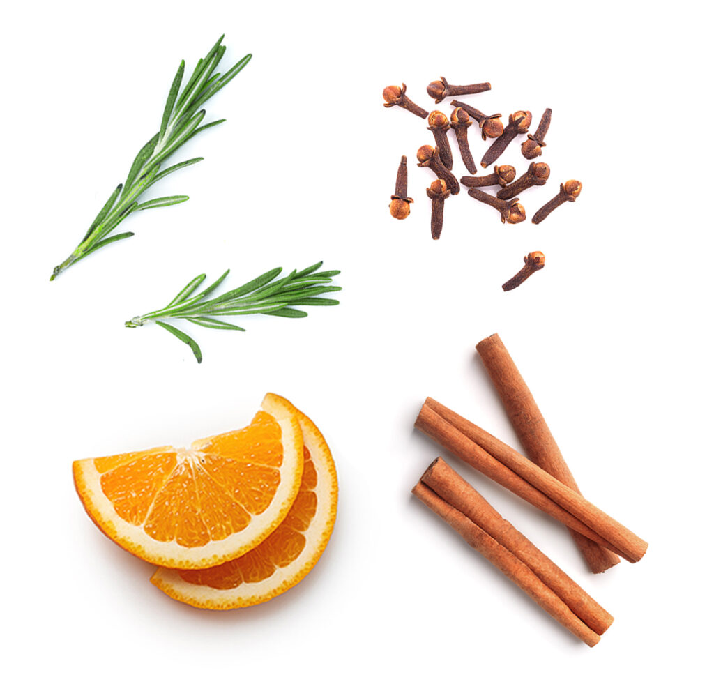 Składniki olejku On Guard doTERRA: dzika pomarańcza, goździk, cynamon, eukaliptus i rozmaryn na białym tle.