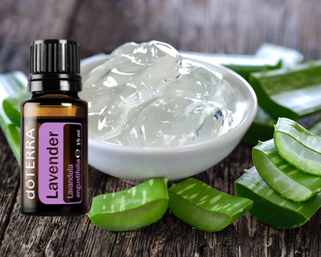 Żel aloesowy w miseczce z liśćmi aloesu i olejkiem lawendowym dōTERRA – naturalne ukojenie na przegrzaną skórę.